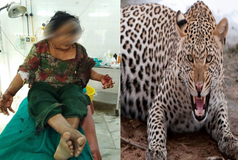 Leopard Died after attack on women in srinagar