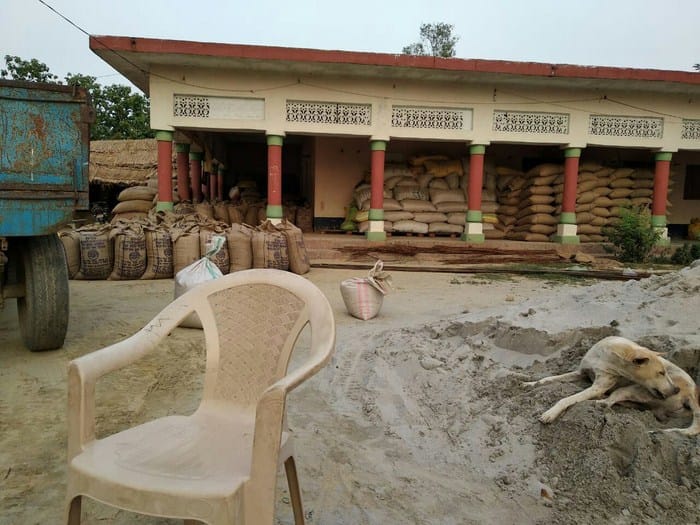 wheat purchasing found at pradhan's house