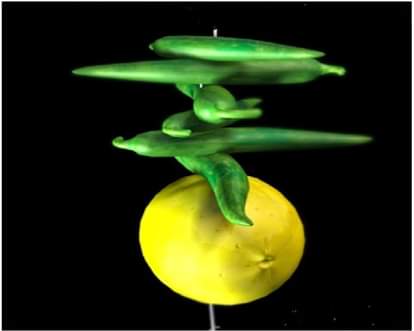 Know the reason why people often use lemon and chilies for totkas