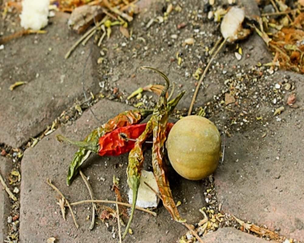 Know the reason why people often use lemon and chilies for totkas