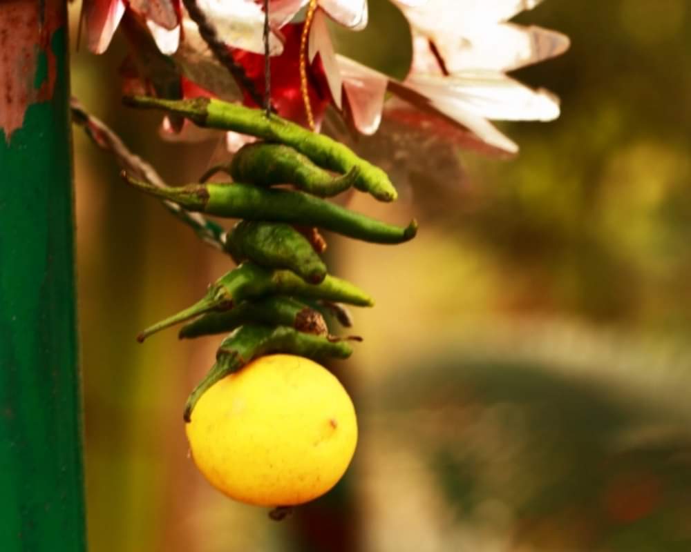 Know the reason why people often use lemon and chilies for totkas