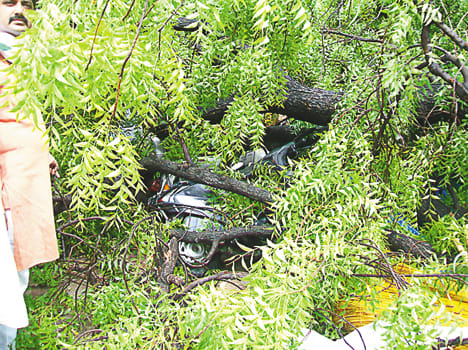Blast destroys electricity supply by destroying pole, wire and wire