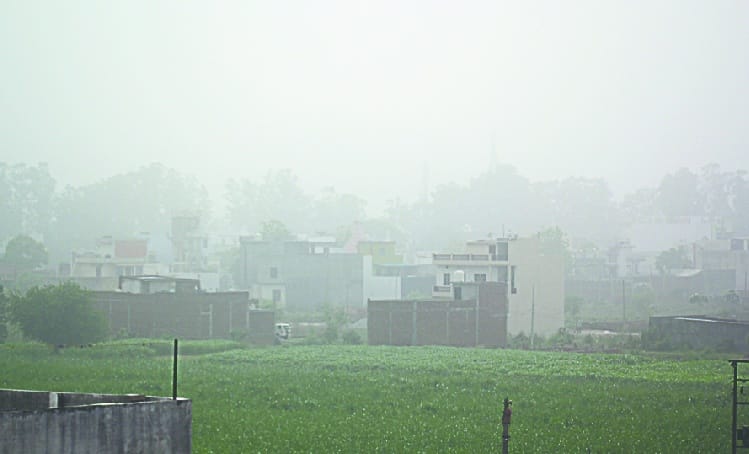 Dust and heat exacerbate anxiety