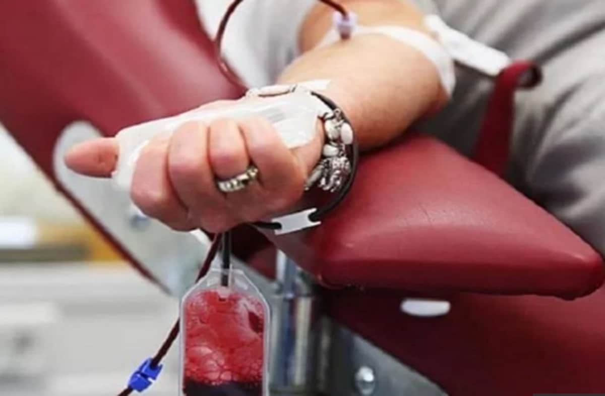 World Blood Donor Day 2018: surely you did not know the benefits of blood donation