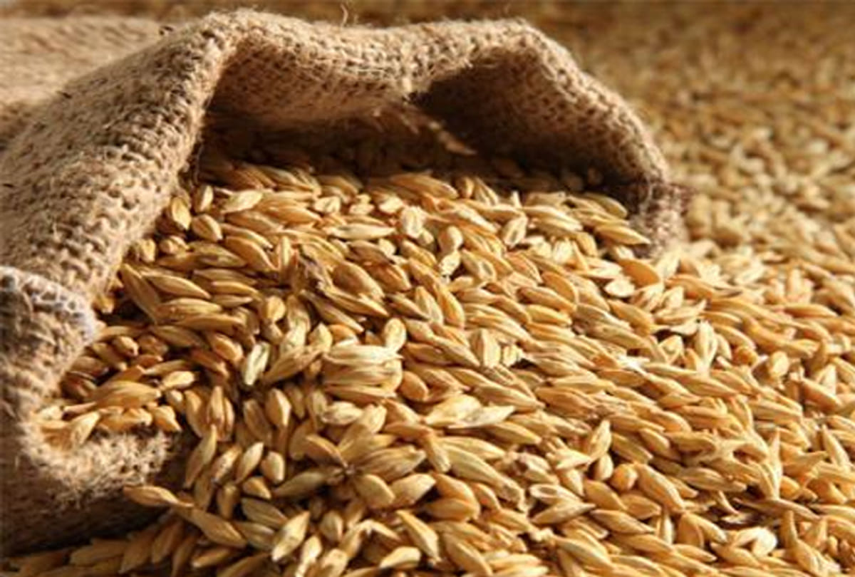Report against two women farmers