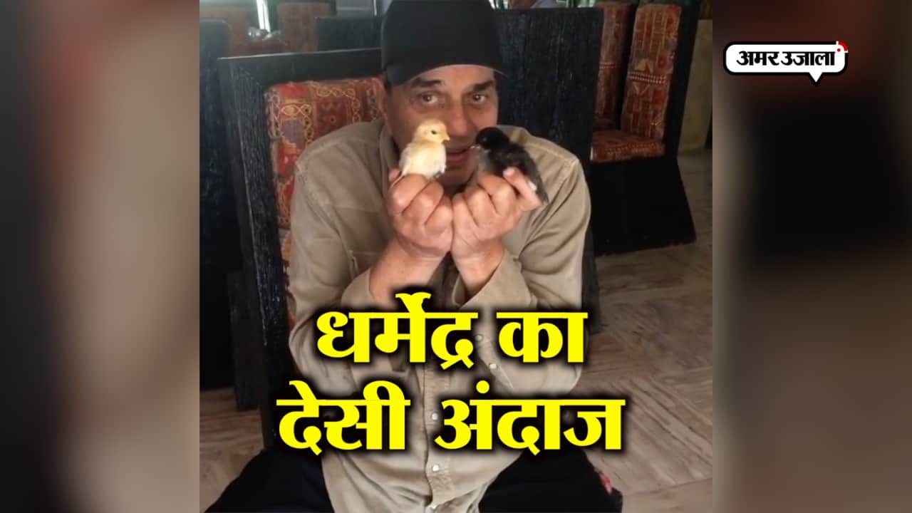 धर्मेंद्र 