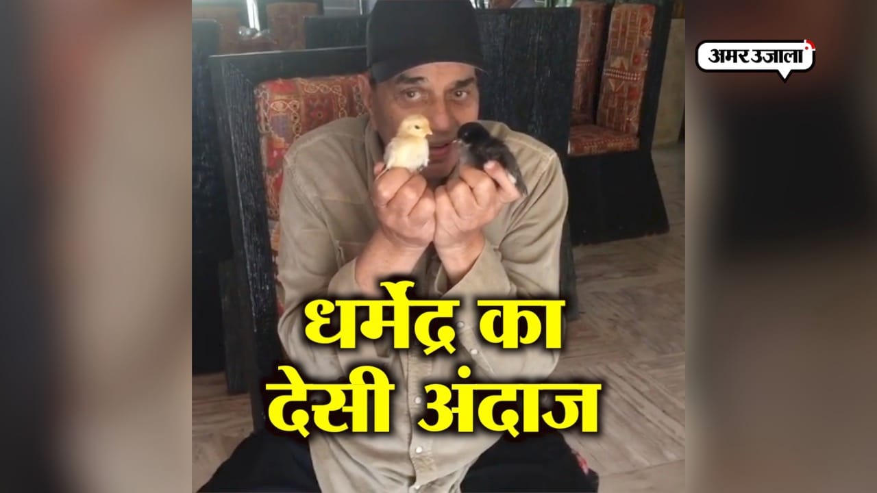 धर्मेंद्र 