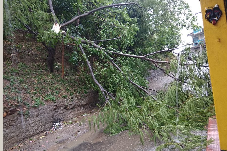 भोरंज में बाइक पर गिरा पेड़, मकान का छज्जा भी पेड़ गिरने से टूटा