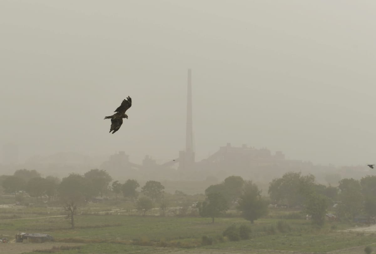 delhi ncr pollution reaches to hazardous level all construction work stopped by cpcb