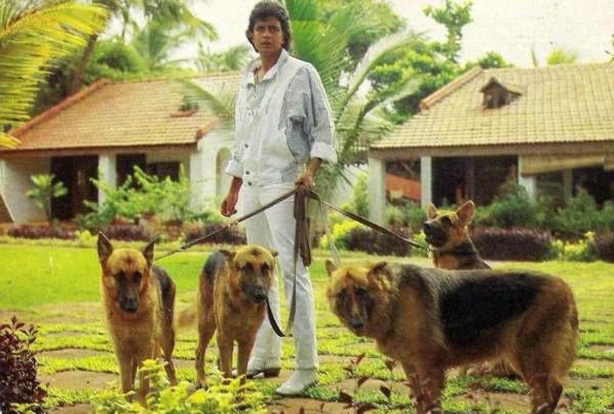 mithun chakraborty has 76 dogs in his house