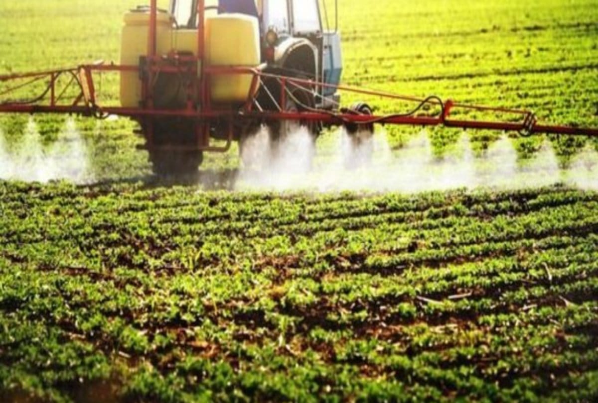 Now Sexy Plants To Protect Crops From Insects