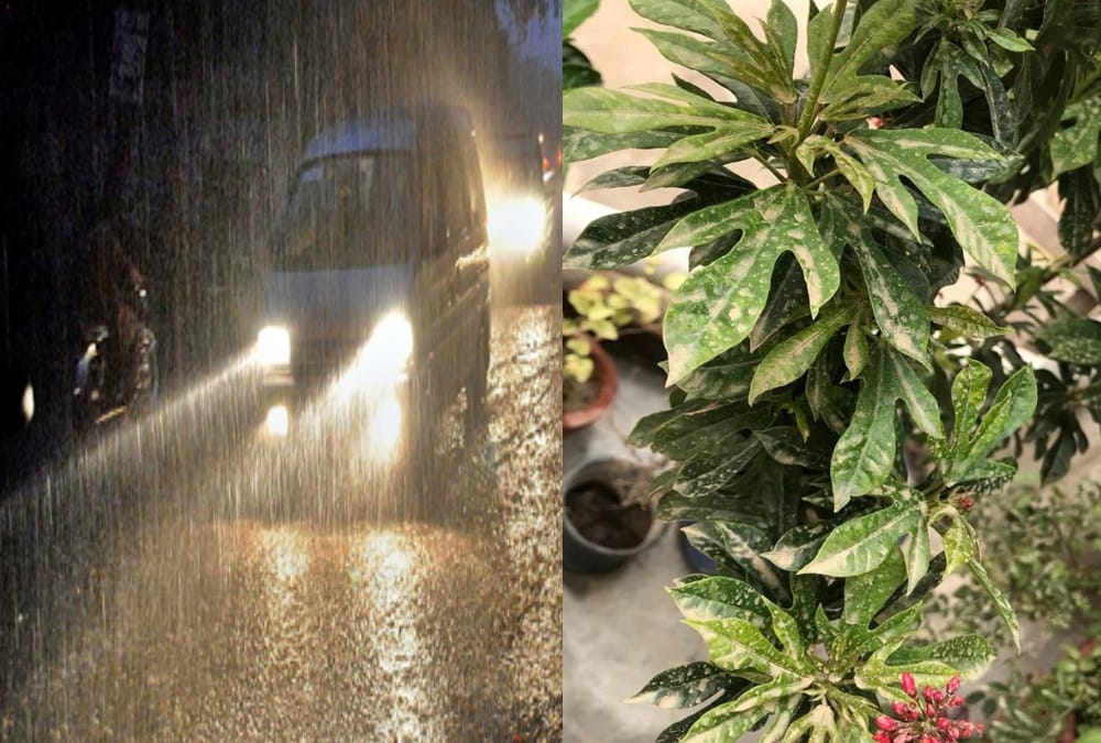 Dusty rain in uttarakhand after alert