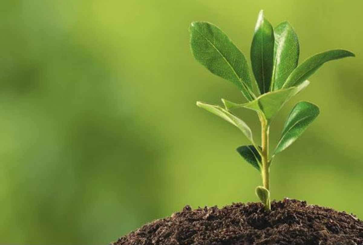 know vastu related important rules of land