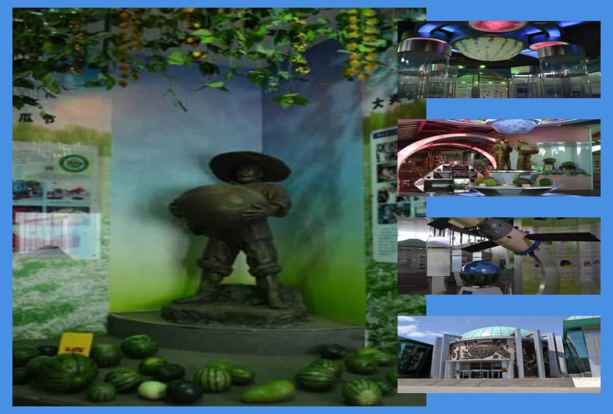 Have You ever seen Watermelon Museum
