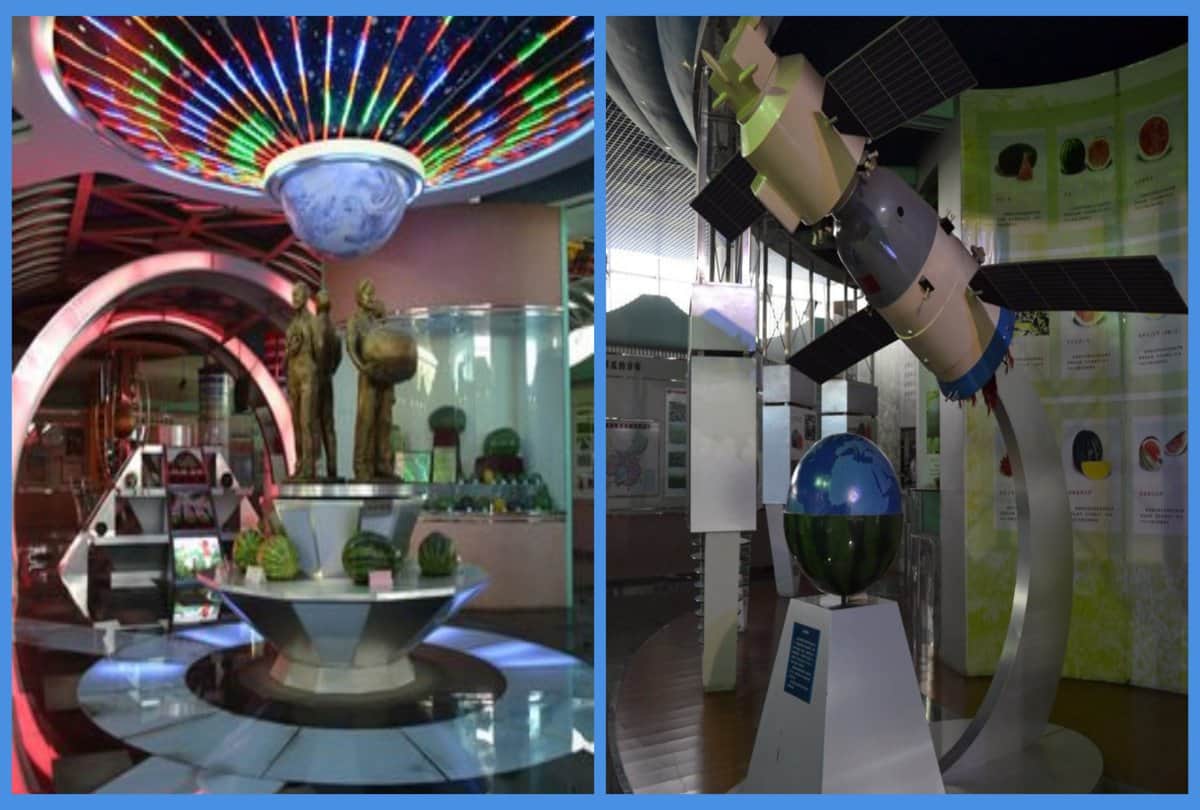 Have You ever seen Watermelon Museum