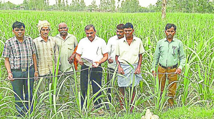 During the survey, farmers will have to fill the self-declaration