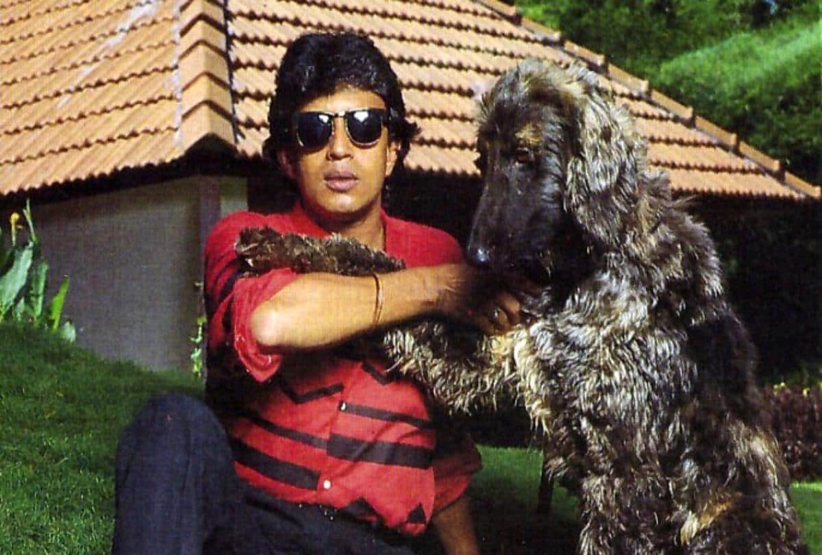 mithun chakraborty has 76 dogs in his house