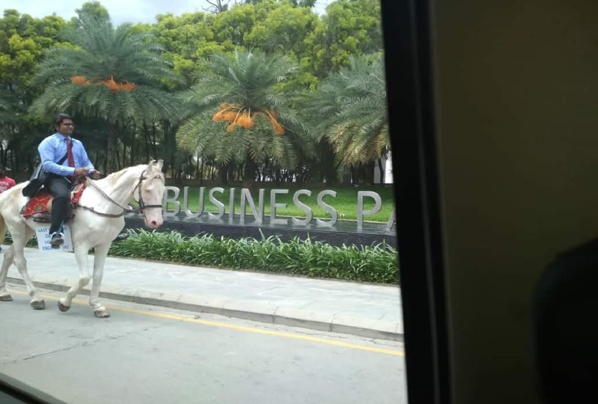 Bengaluru: Software Engineer went office by riding a horse to work