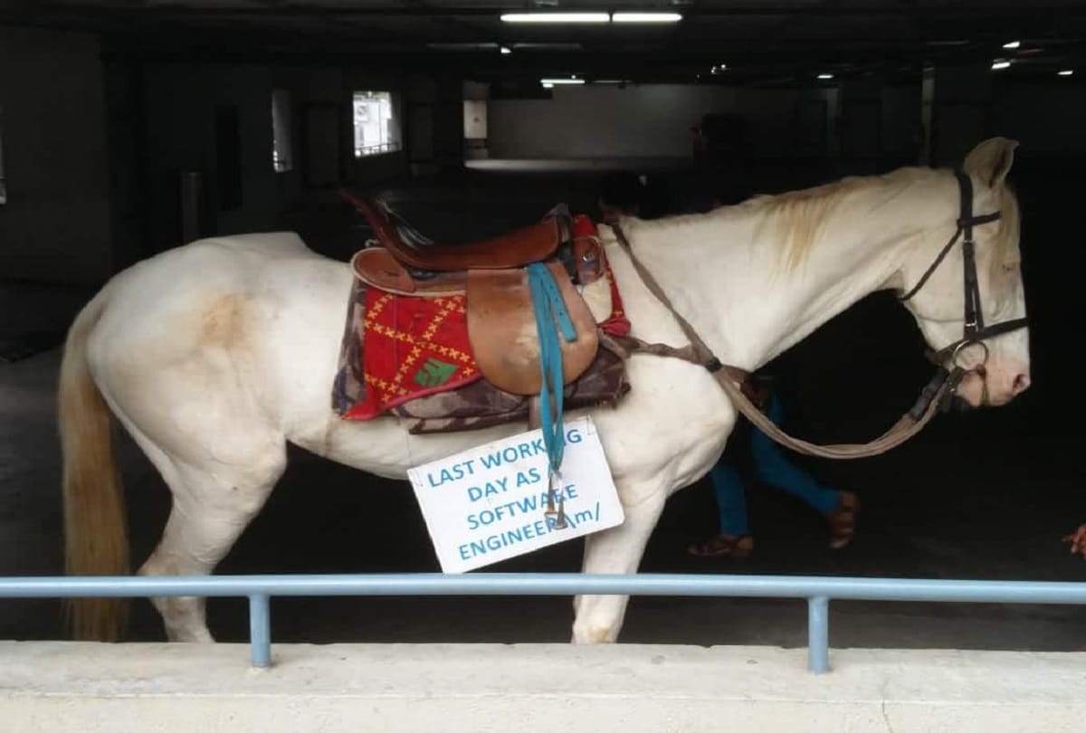 Bengaluru: Software Engineer went office by riding a horse to work