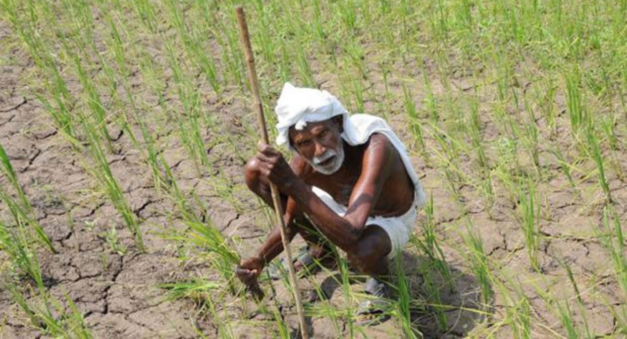 नहर सूखी, सीएम से किसानों ने लगाई गुहार