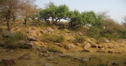 NGT orders to demolish illegal constructions on Giriraj Govardhan hill and Parikrama road in Mathura