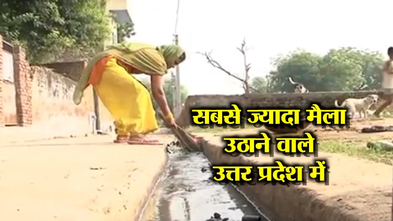 रिपोर्ट