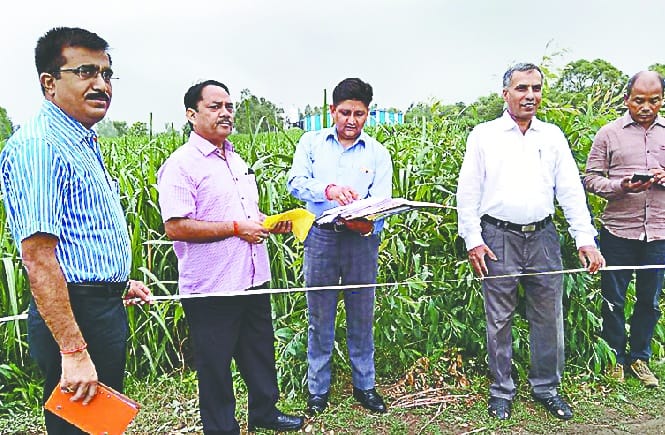 Special Secretary to know the reality of the Janaki Gana Survey