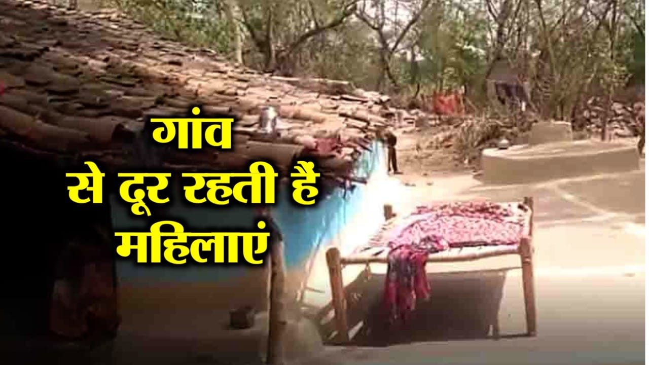 CHHATISGADH NEWS 