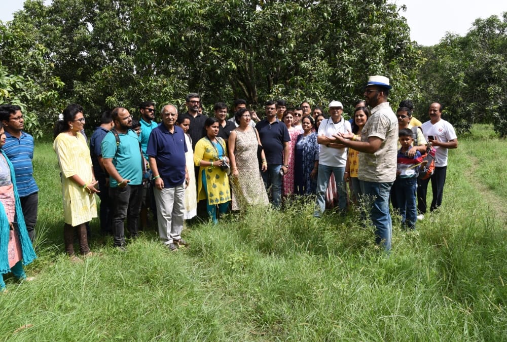 mango festival in kakori in lucknow.