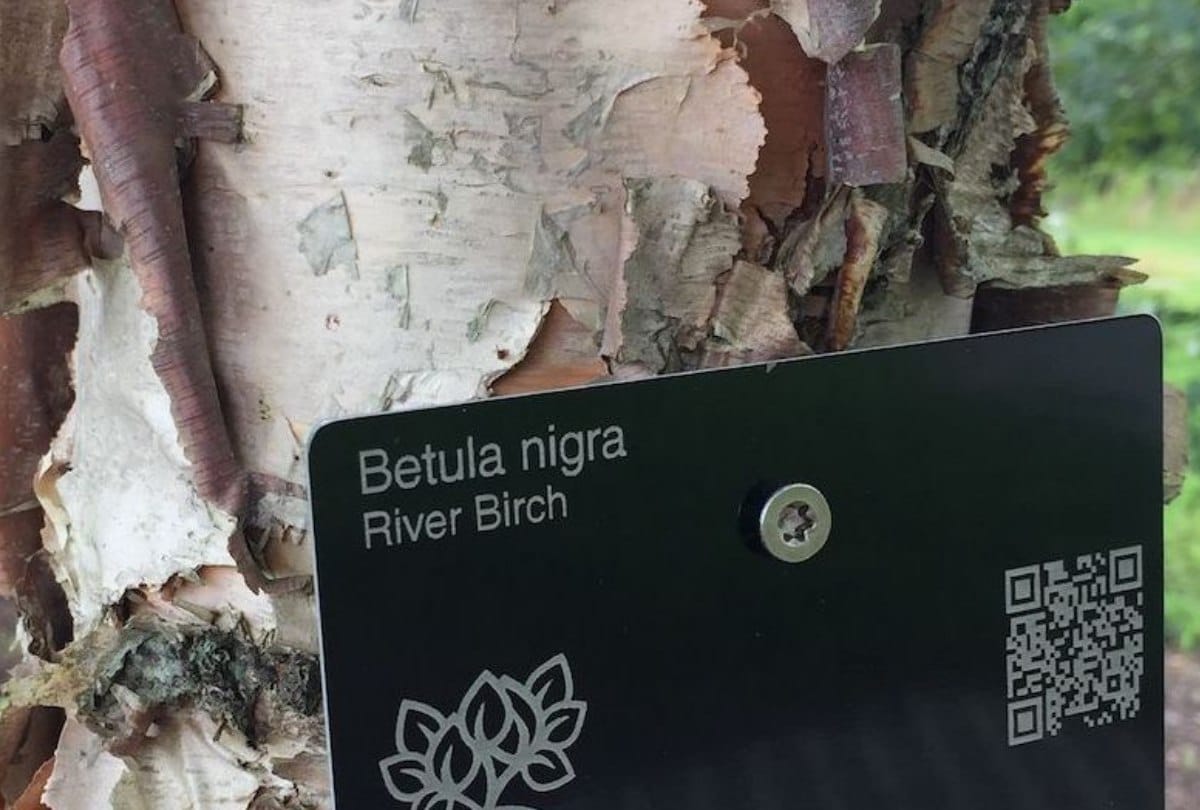QR coding of trees in Himachal Pradesh By IIT MANDI
