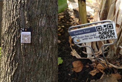 QR coding of trees in Himachal Pradesh By IIT MANDI