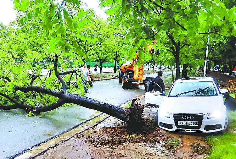 rain in chandigarh, weather forecast