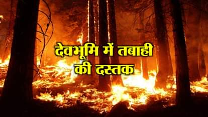 The most horrible wildfire in 2018 in Uttarakhand