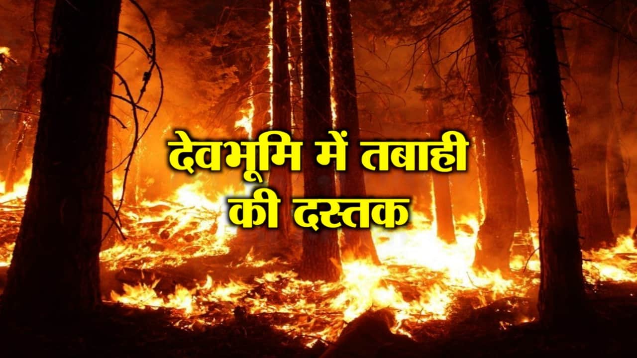 जंगल की आग