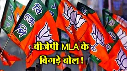 BJP MLA said, Azam and Owaisi's relationship with Pakistani terrorists.