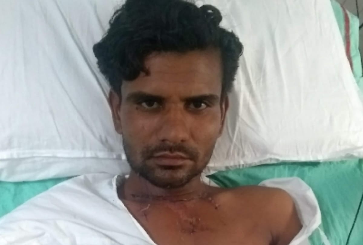 amar ujala exclusive: bull breaks respiratory canal of man doctor operated bring back voice