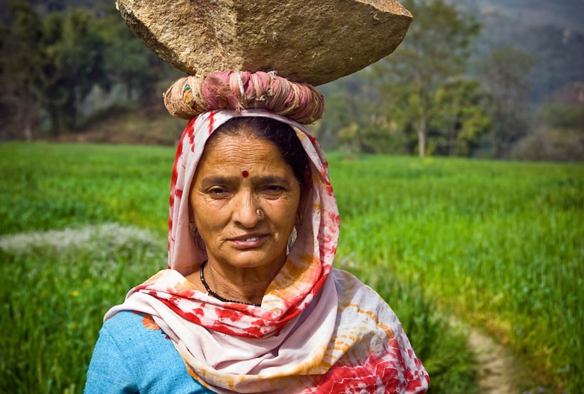 Himachal Statistics Directorate Survey on womens working without wages