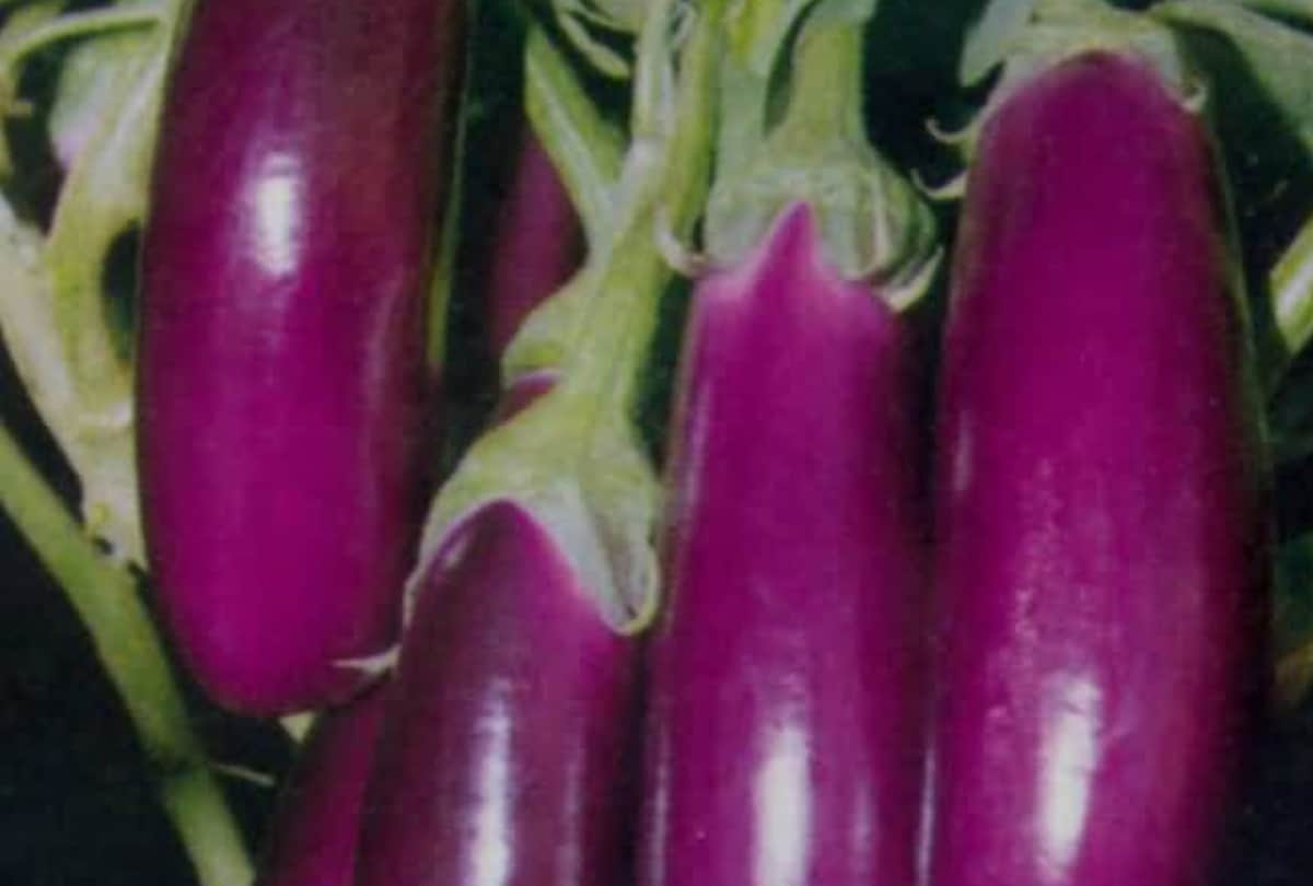 rate of vegetables hiked in lucknow