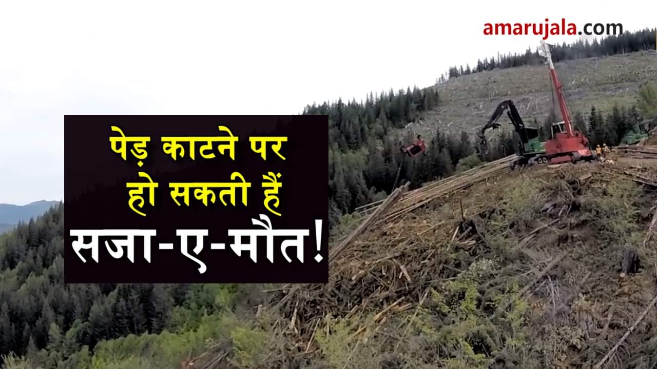 प्रतीकात्मक तस्वीर