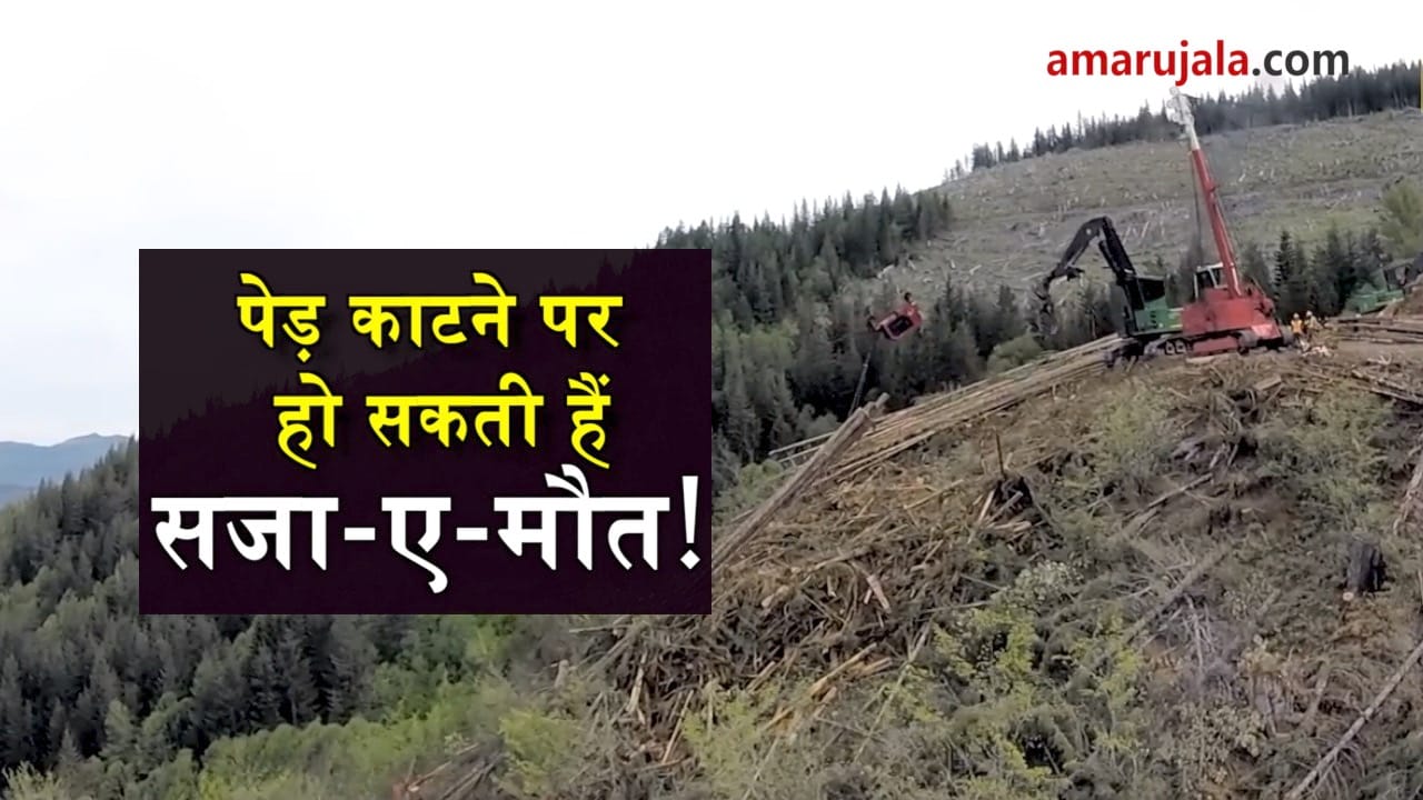 प्रतीकात्मक तस्वीर