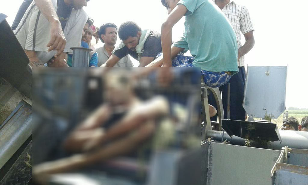 Farmer dies after getting stuck in thresher