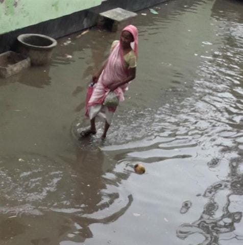 Rain relief, storm surge, Shahpada falls in trees