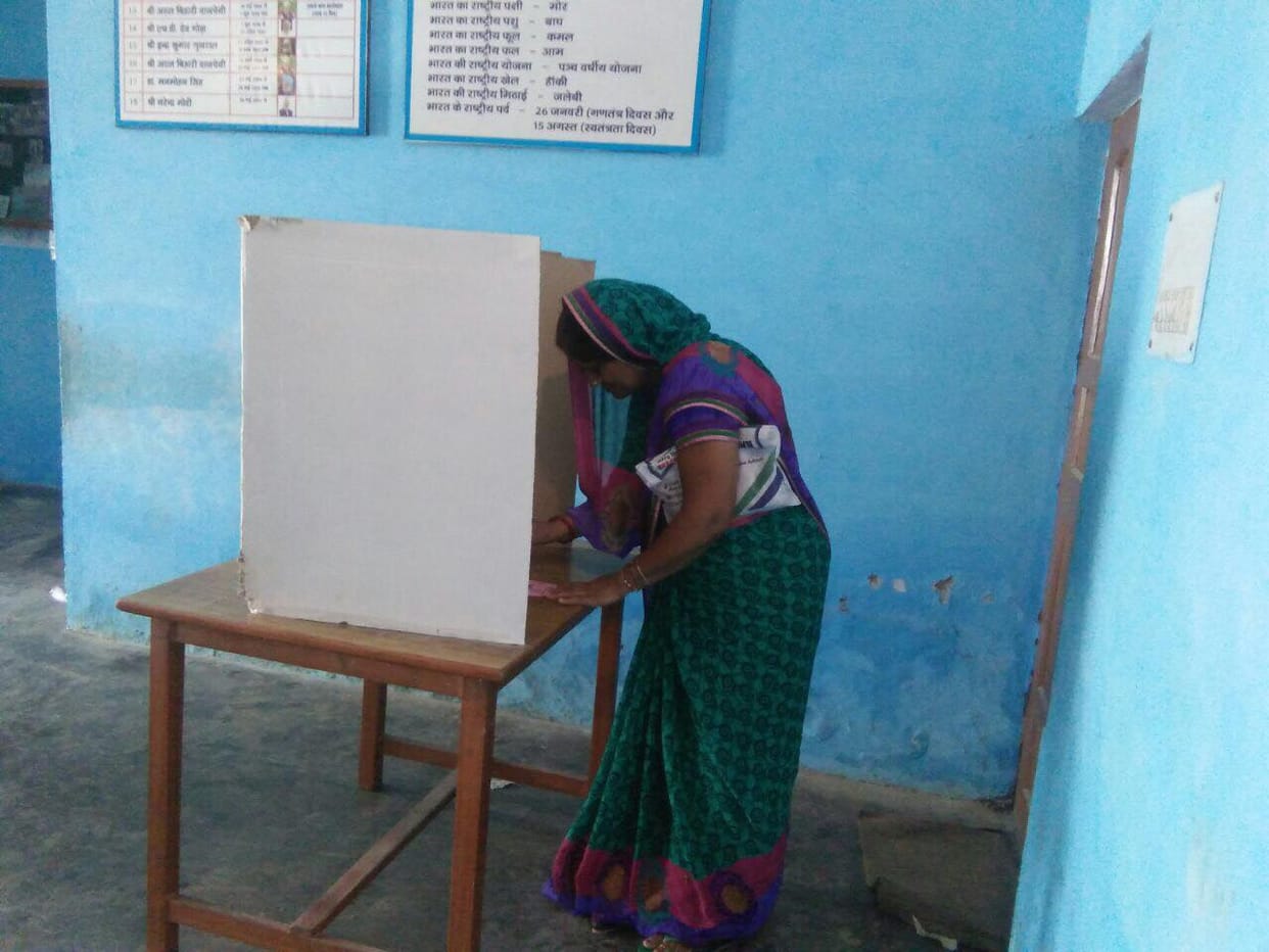 nikay chunav 2018 candidate famous name in ballot paper