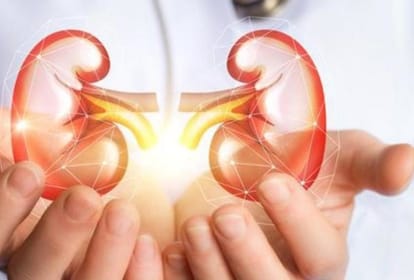 Doctors removed patient kidney during stone operation in Bareilly