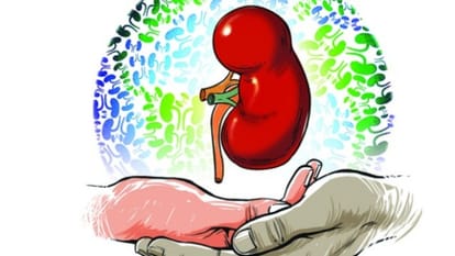 Kidney withdrawal during school tour
