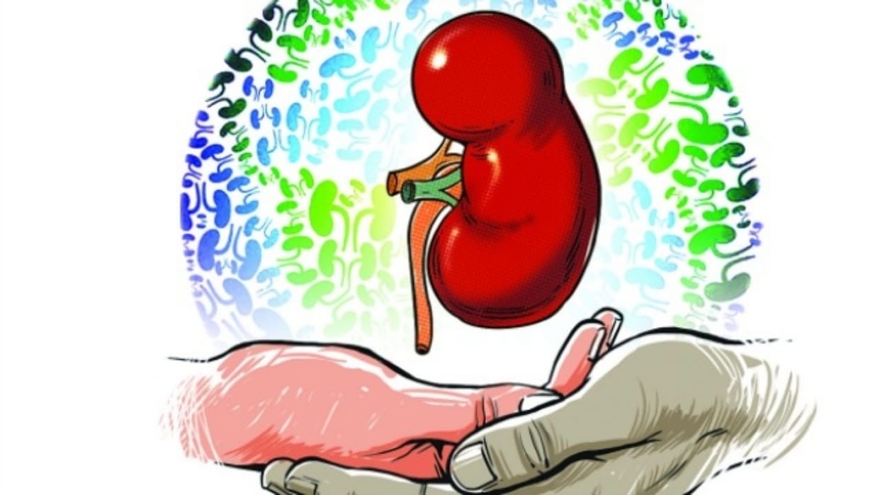 World Kidney Day: habits that may harm your kidney