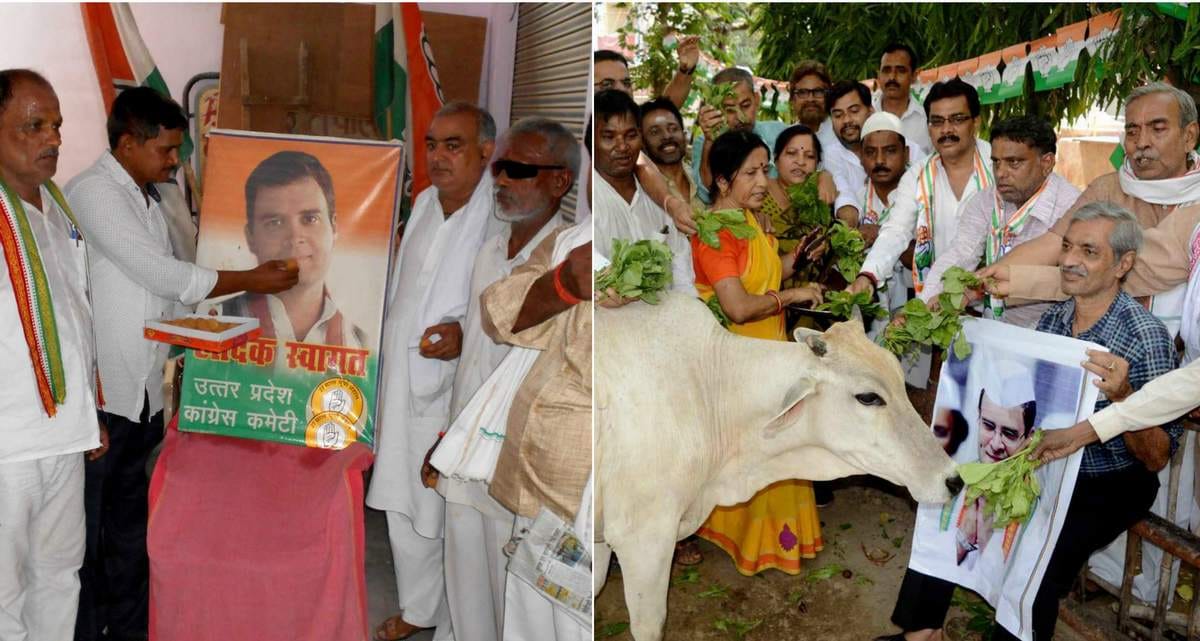Rahul gandhi birthday celebration in purvanchal