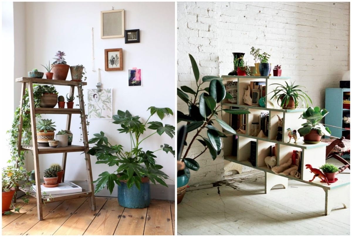 plant flowers and trees according to vastu