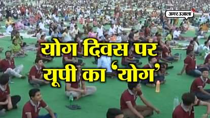 Yoga day celebrated across the various cities of up 