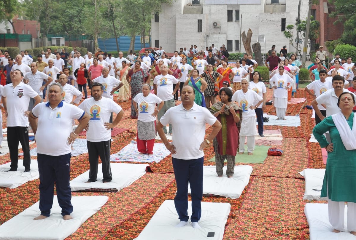 international yoga day celebration in delhi
